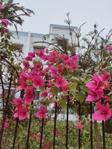 Green Campus